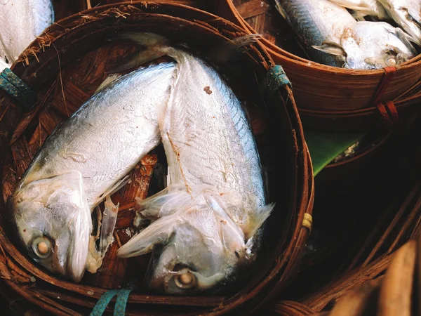 Pescado de caballa —  Fotos de Stock