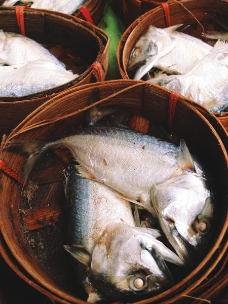 Pescado de caballa —  Fotos de Stock