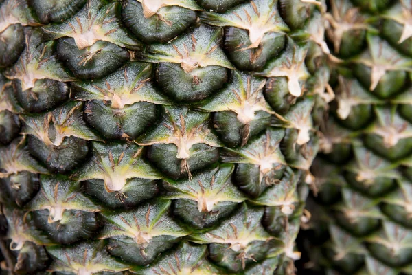 Fresh pineapple — Stock Photo, Image