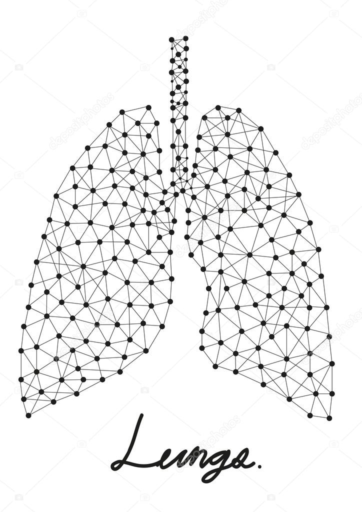 Abstract of lungs