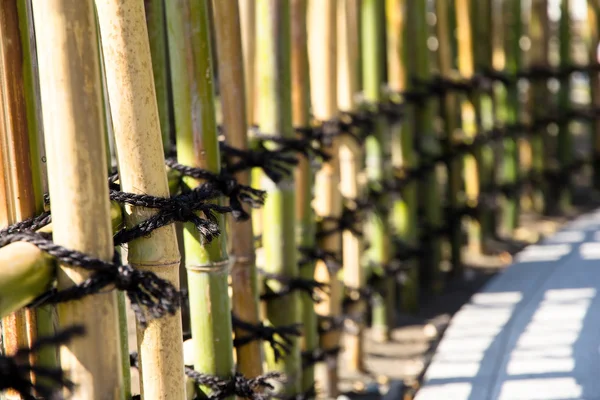 Traditional bamboo fences — Stock Photo, Image