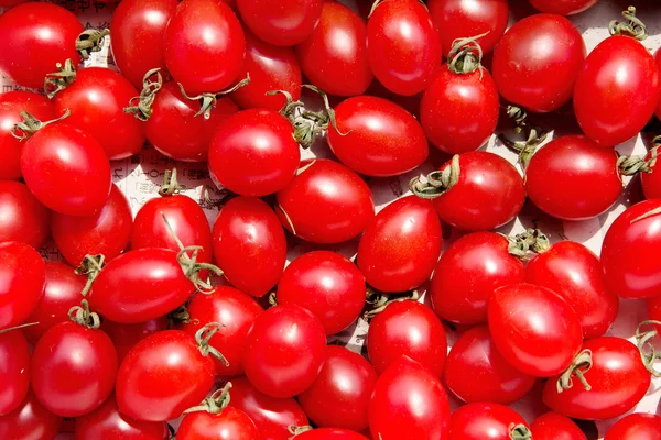 Tomates rouges — Photo