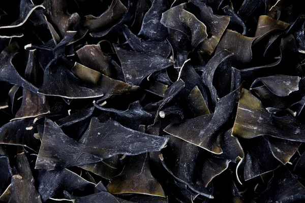 Dried kombu — Stock Photo, Image