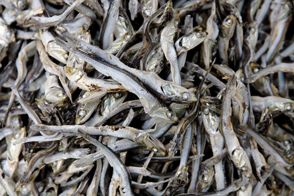 Dried Sardines — Stock Photo, Image