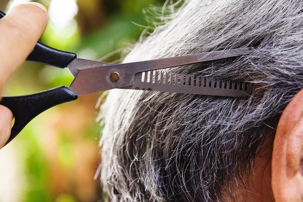 Cut the hair — Stock Photo, Image