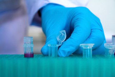 araştırma laboratuarında test tüpü tutan bilim adamı