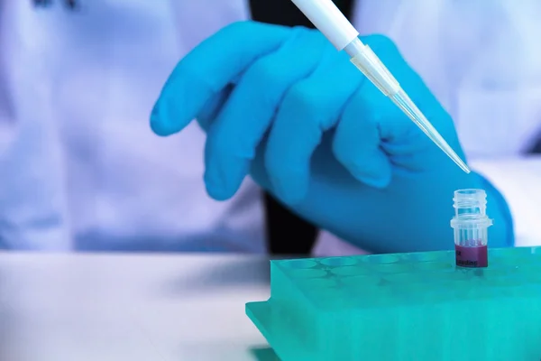Pipeta com gota de líquido em um laboratório de pesquisa científica — Fotografia de Stock