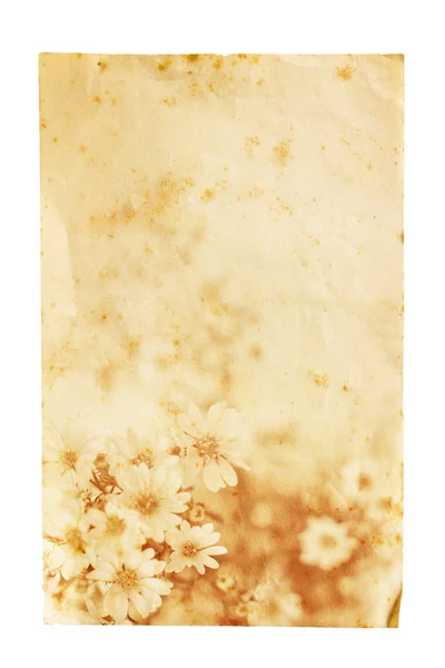 Kağıt arka plan ile çiçek süsleme — Stok fotoğraf