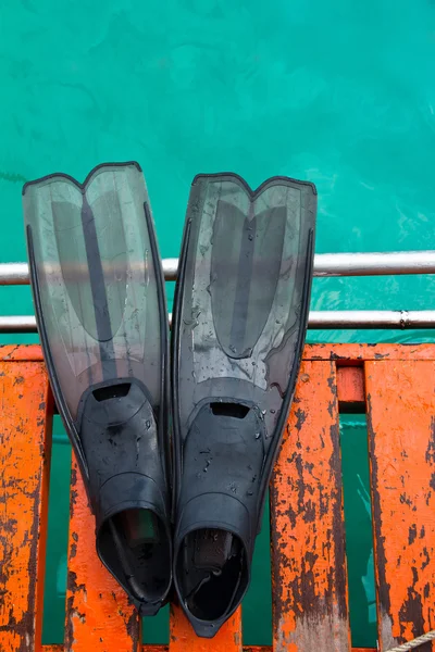 Flipper on boat — Stockfoto