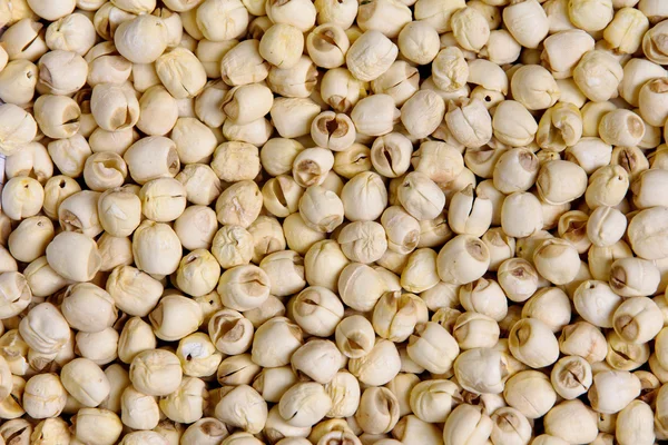 Sfondo di semi di loto essiccati — Foto Stock