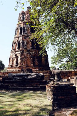 Ayutthaya Tarih Parkı, Ayutthaya, Tayland 'daki Wat Mahathat antik harabeleri UNESCO tarafından Dünya Mirası olarak ilan edildi..
