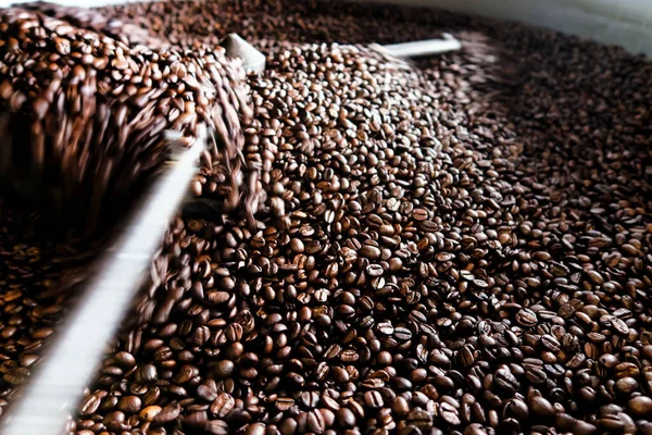 Image Roasting Process Coffee — Stock Photo, Image