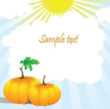 iki Balkabağı ve güneş yaprakları