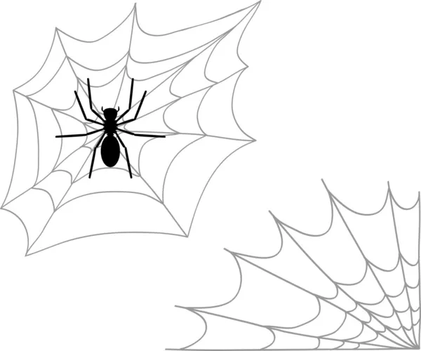 Αράχνη και δύο τύπους ιστός αράχνης — Διανυσματικό Αρχείο