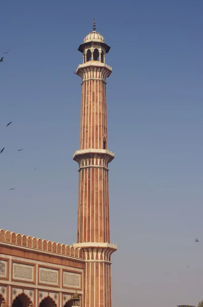 Minaret van de jama masjid, delhi, india — Stockfoto