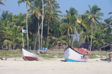 balıkçı tekneleri tropikal Beach, goa