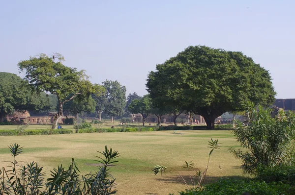 Park in Feroz Shah Kotla, New Delhi — Stock Photo, Image