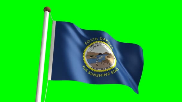 Güney Dakota bayrak (ile yeşil ekran) — Stok video