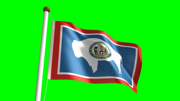 Vlag van Wyoming — Stockvideo