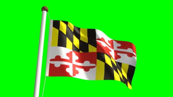 Maryland flag — Stock Video