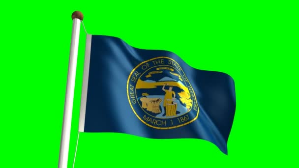 Vlag van Nebraska — Stockvideo