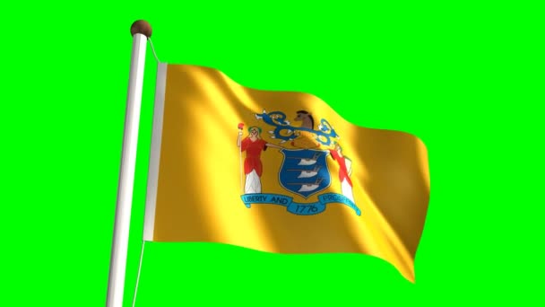 New Jersey flag — Stockvideo