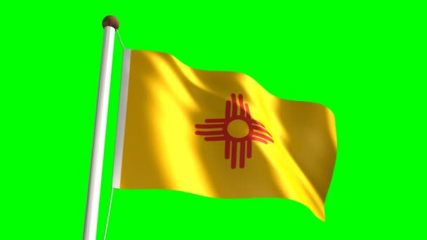新墨西哥州旗 — 图库视频影像