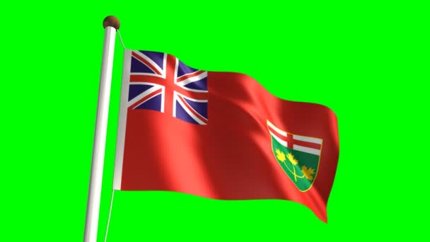 Ontario bayrağı — Stok video
