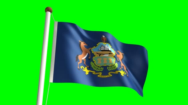 Pennsylvania flagga — Stockvideo