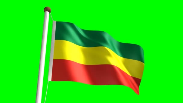 Etiopien flagga — Stockvideo