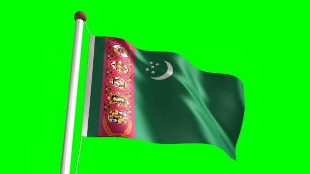 Turkmenistan flag — Stock Video