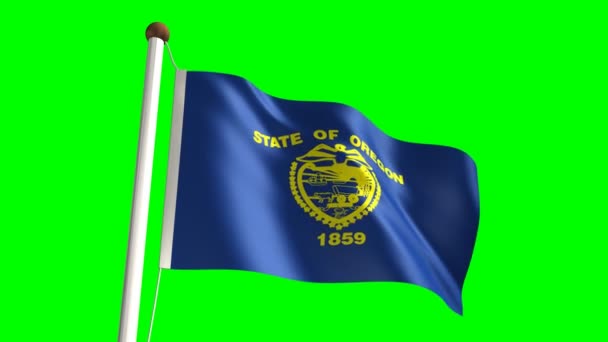 Oregonische Flagge — Stockvideo