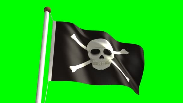 Skull flag video — Stock Video