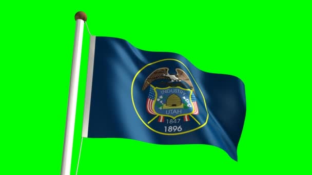 犹他州旗 — 图库视频影像