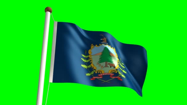 Bandera de Vermont — Vídeo de stock