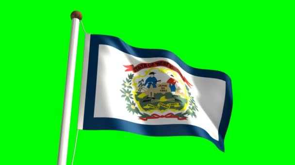 Vlag van West virginia — Stockvideo