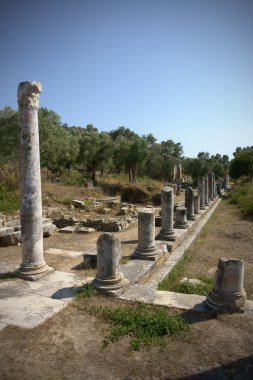 Iasos Ancient City