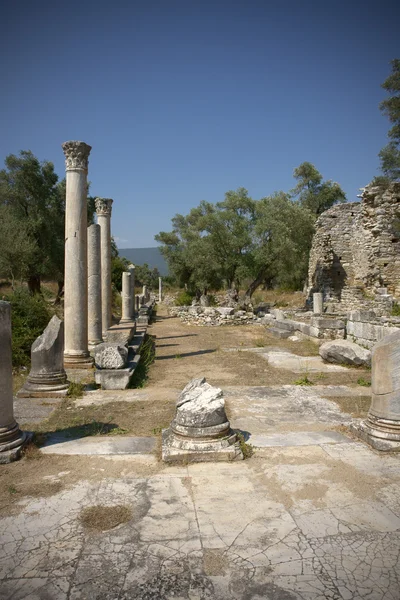 Стародавнє місто Iasos — стокове фото