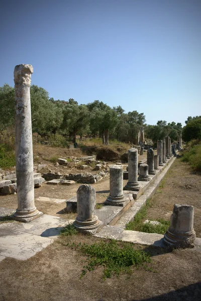 Iasos Ancient City — Stockfoto