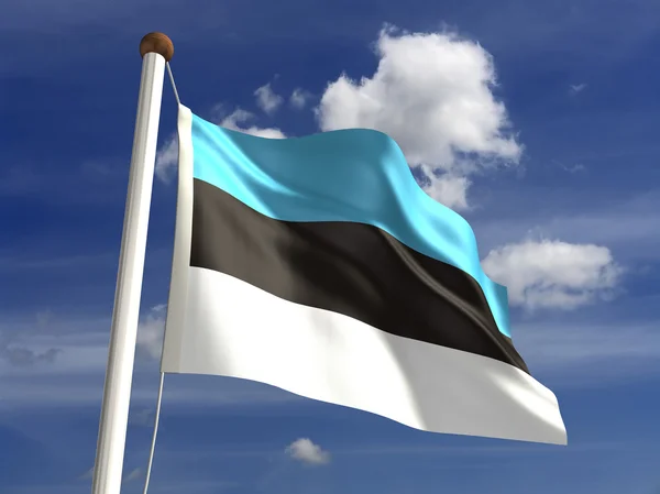 Vlajka Estonska — Stock fotografie