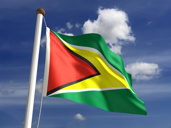Guyana bayrağı — Stok fotoğraf