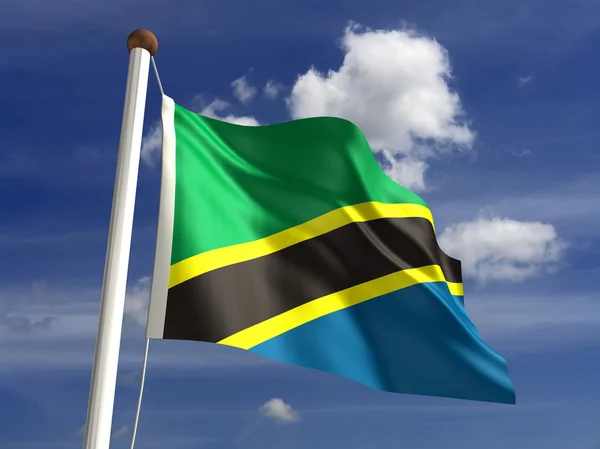 Tanzania Flag — Stock Photo, Image