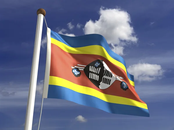 Swaziland Flag — Stock Photo, Image