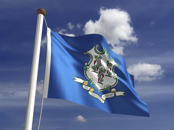 Connecticut Flag — Stock Photo, Image