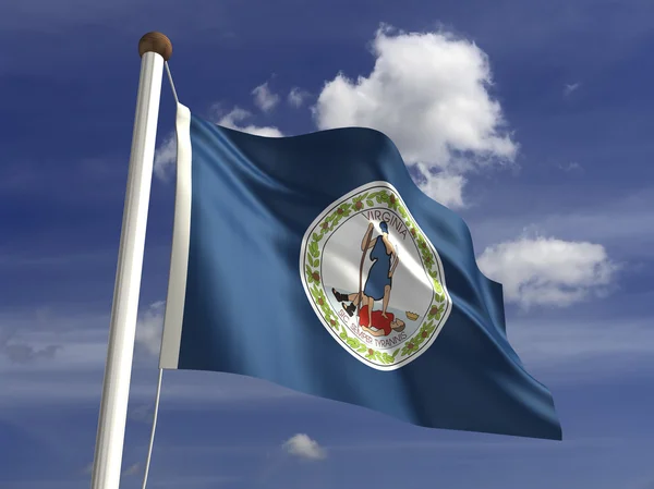 Virginia Flag — Stock Photo, Image