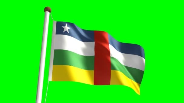 Bandera de África Central — Vídeo de stock