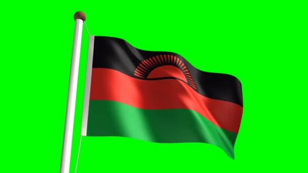 Bandera de Malawi — Vídeo de stock
