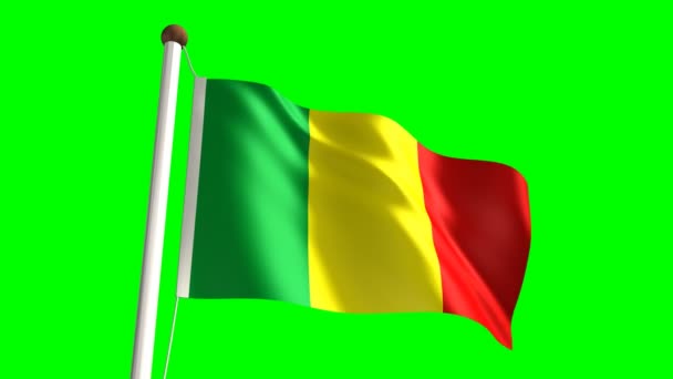 Vlag van Mali — Stockvideo