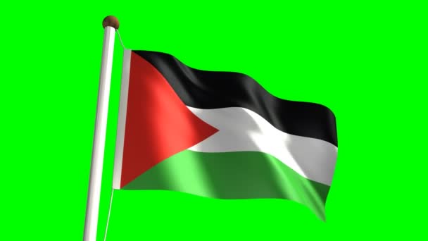 巴勒斯坦旗帜 — 图库视频影像