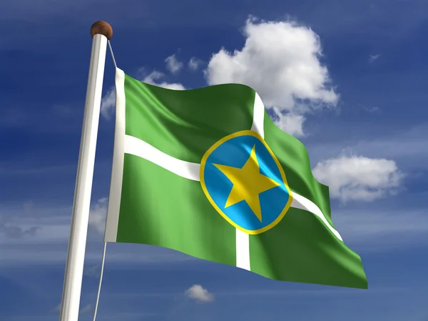 Jackson City Flag — Stock Photo, Image